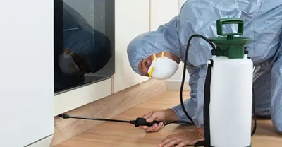 dezynfekcja,dezodoryzacji,sprzątanie melin